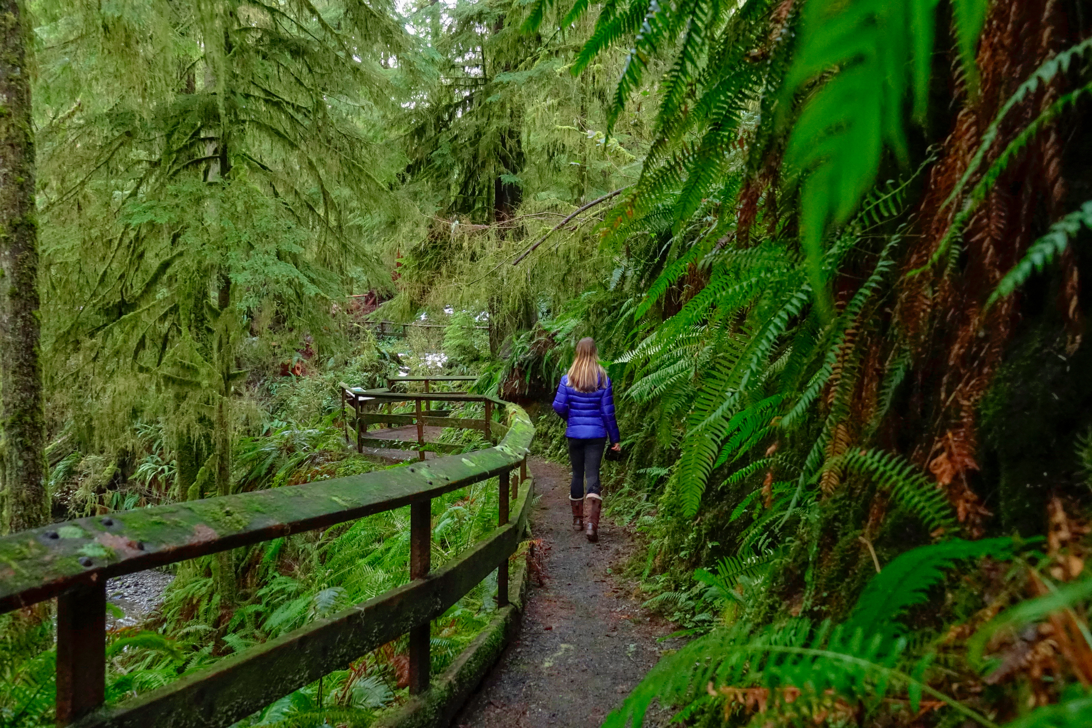 Woman walking along a path in a lush rainforest.