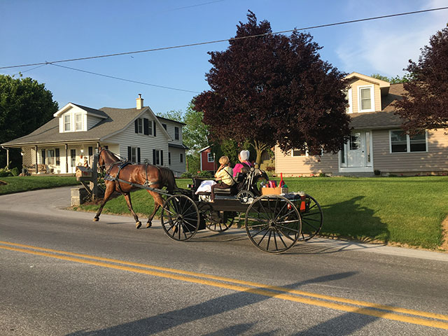 Amish woman and boy trundling down the street on a one-horse carriage.