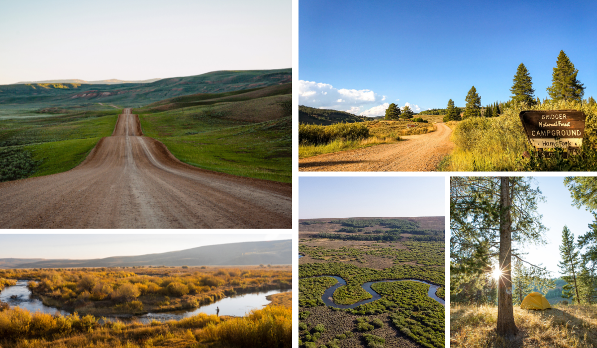 Five images showing dirt roads, streams, meadows and sign saying, "Bridger-Teton National Forest."