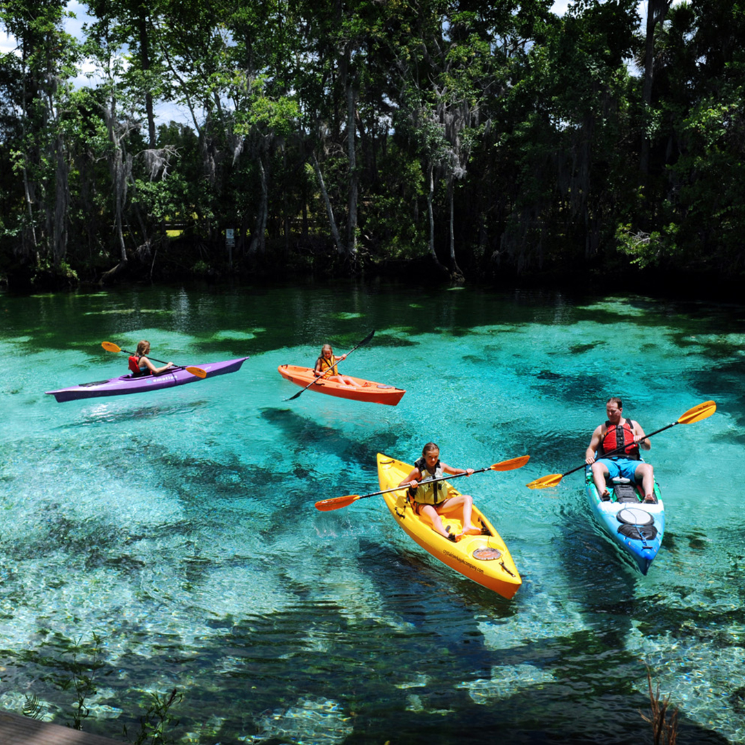 A group of four people kayaking in a tropical environment on crystal clear waters. 