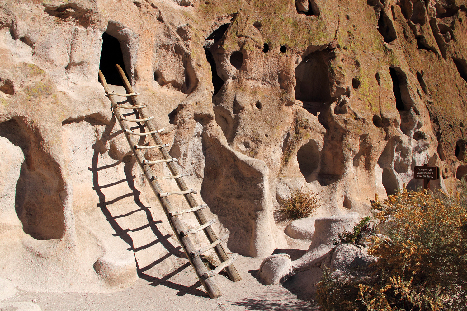 A wooden ladder leads to an opening in a cliff wall.