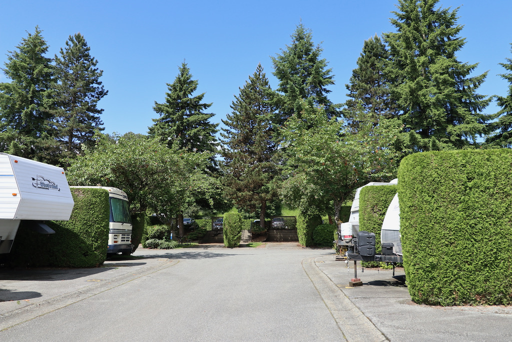 Travel Trailers in spaces divided by hedges in a well-manicured RV park