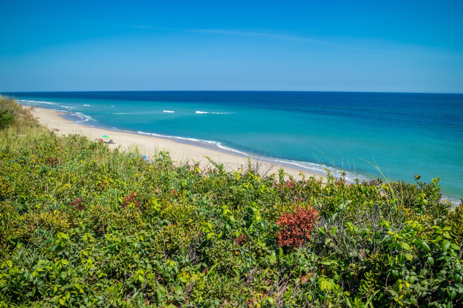A hot and sunny weather along the shore of a beach with vegetation in the background.