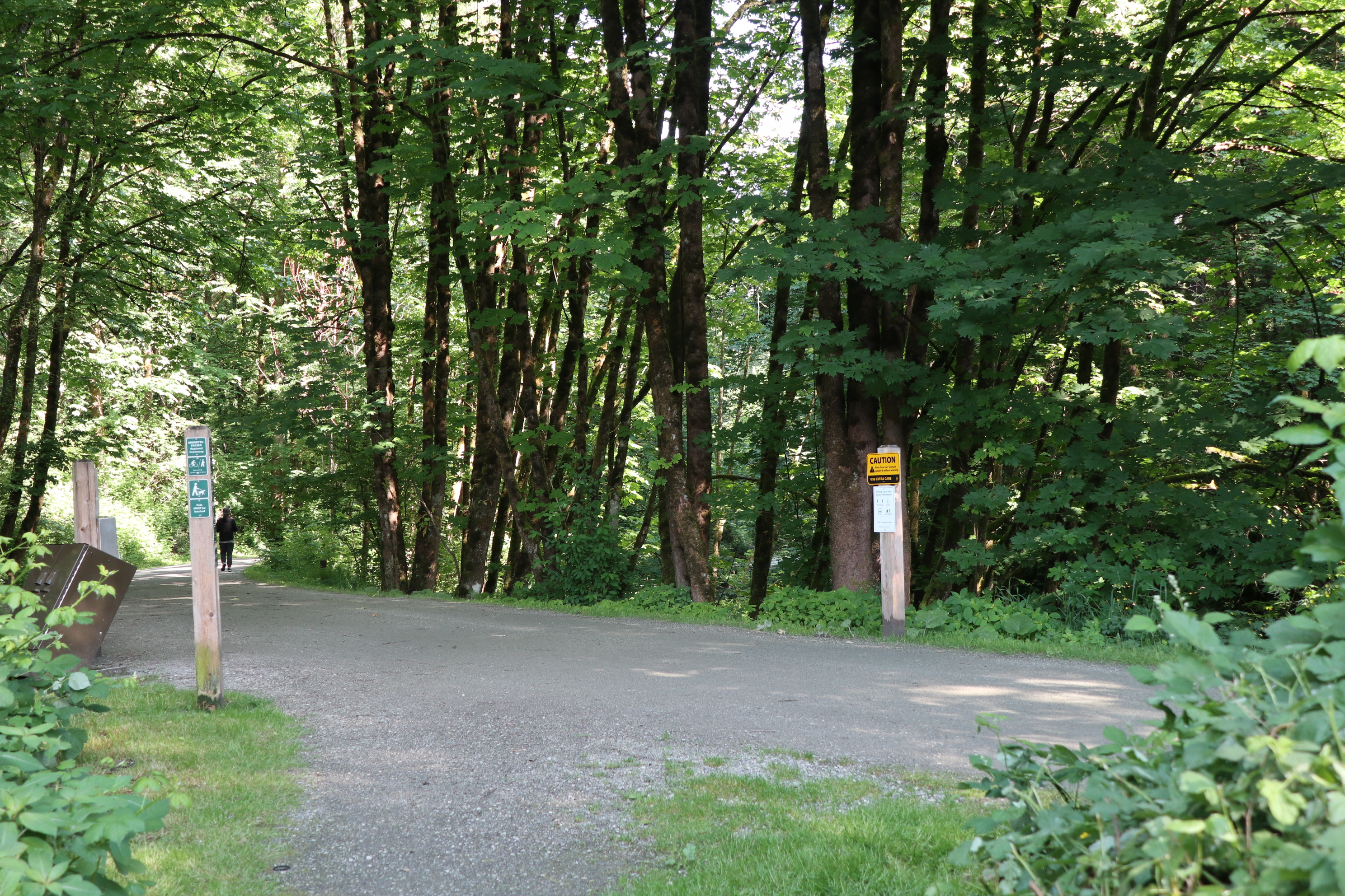 A wide trail with markers indicating directions along with a second trail splitting off.