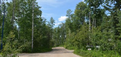 A road cutting through a forest.