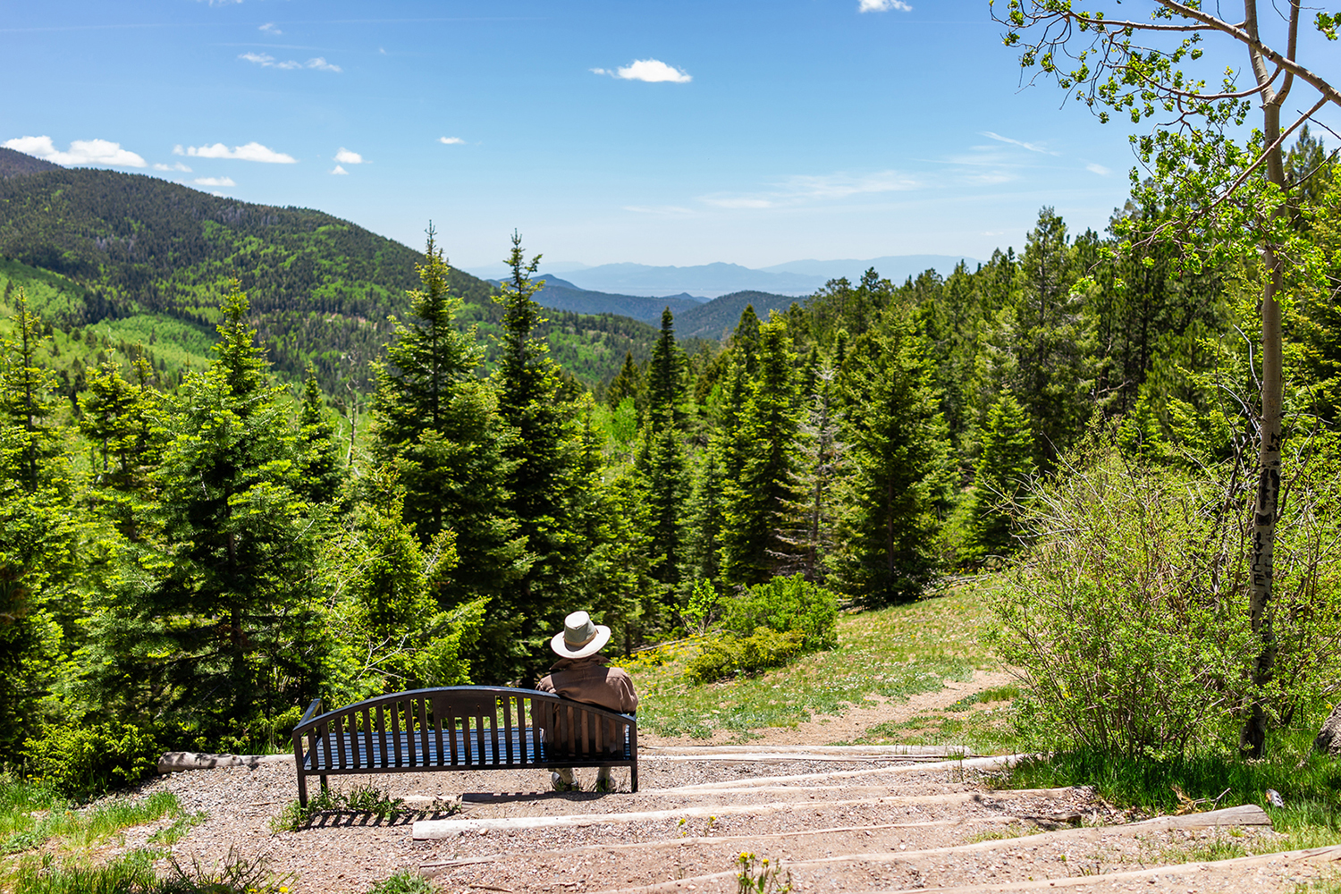 A sightseers views lush fir trees and mountains from a picnic bench.