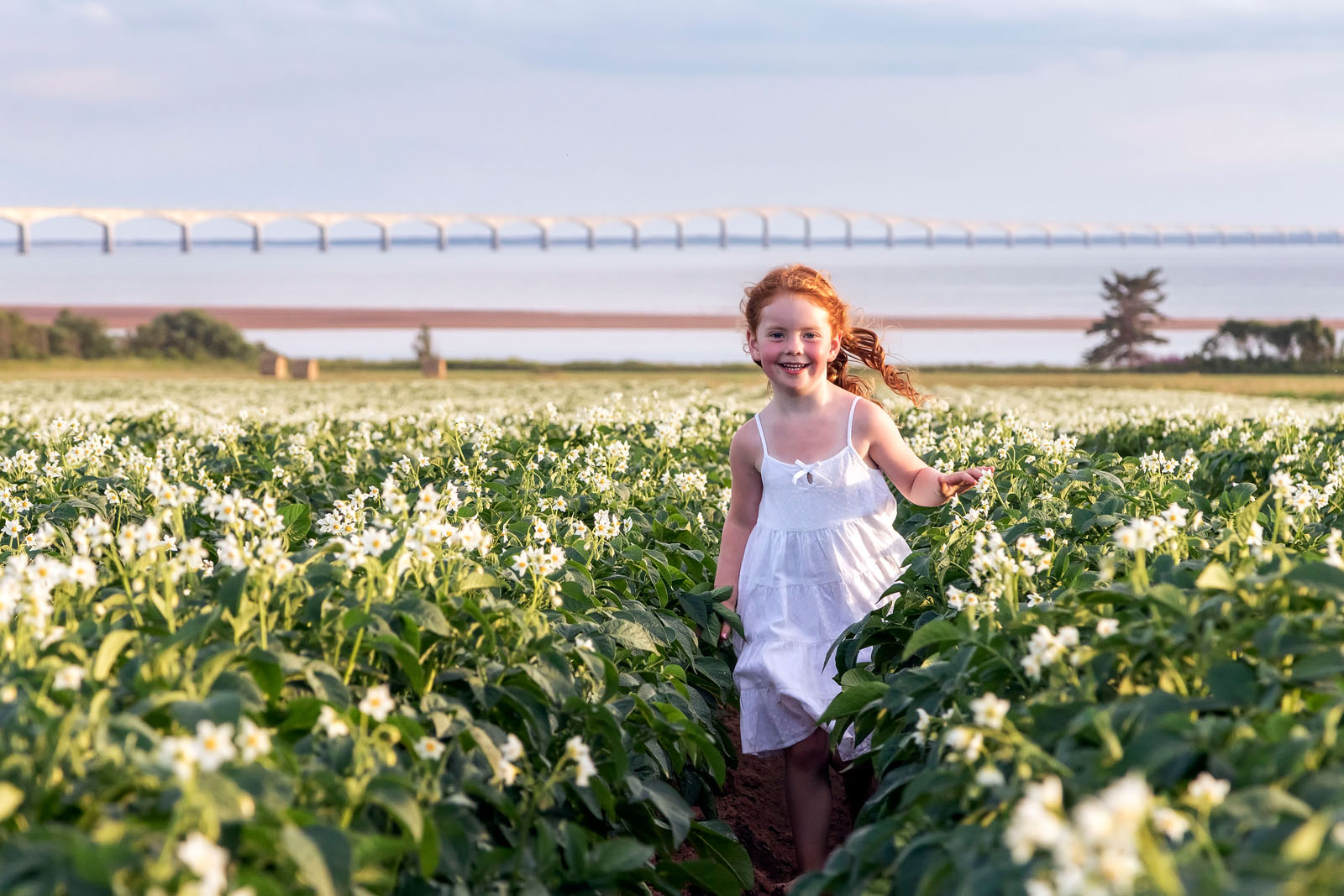 A girl plays in a field of green flowers with ocean in background.