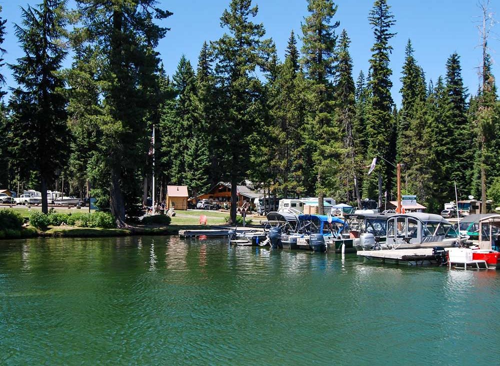 A row of boats float on the emerald waters of a marina fringed with fir trees.