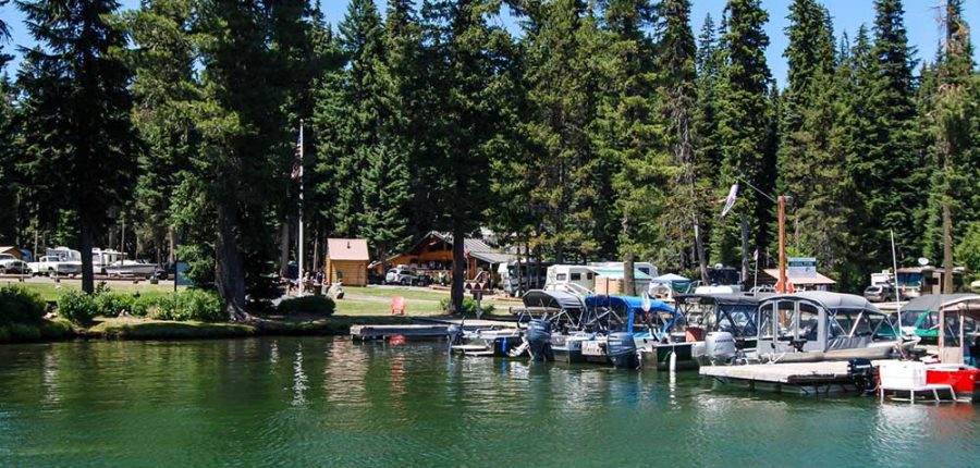 A row of boats float on the emerald waters of a marina fringed with fir trees.