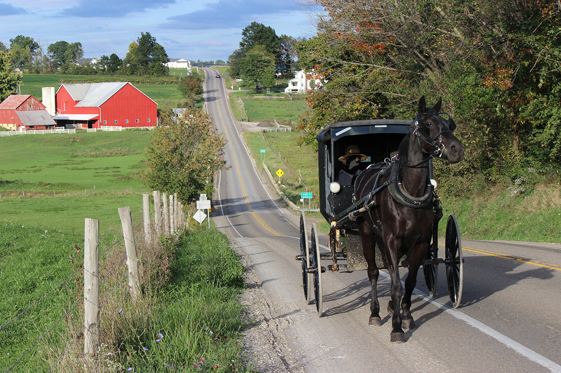 Amish Horse and Buggy Travelling Up a Steep Country Road