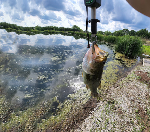 Fishing a SECRET Urban Pond (LOADED W/ HUGE BASS) 