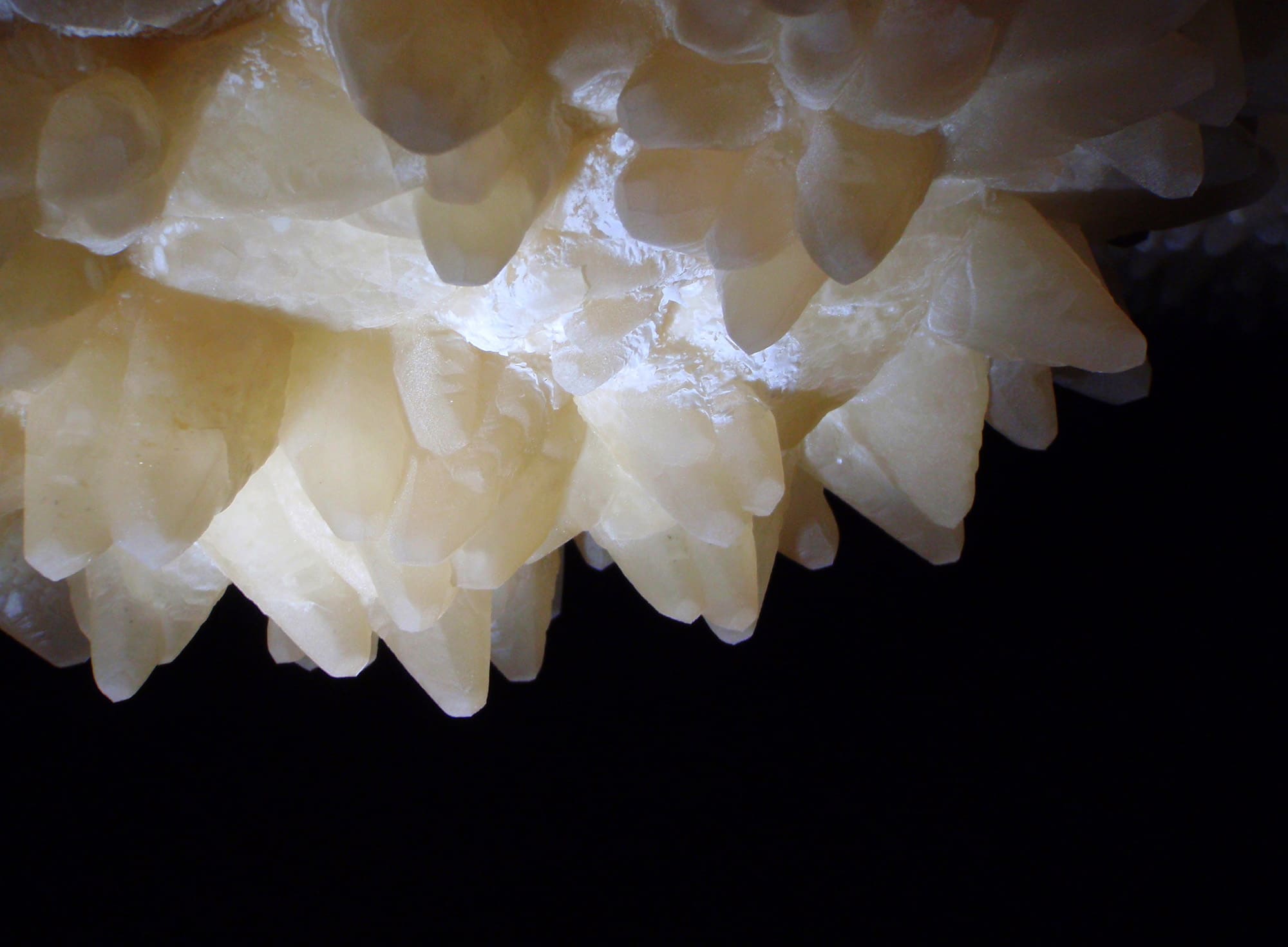 A cluster of jewel-like minerals on the ceiling of a cave.