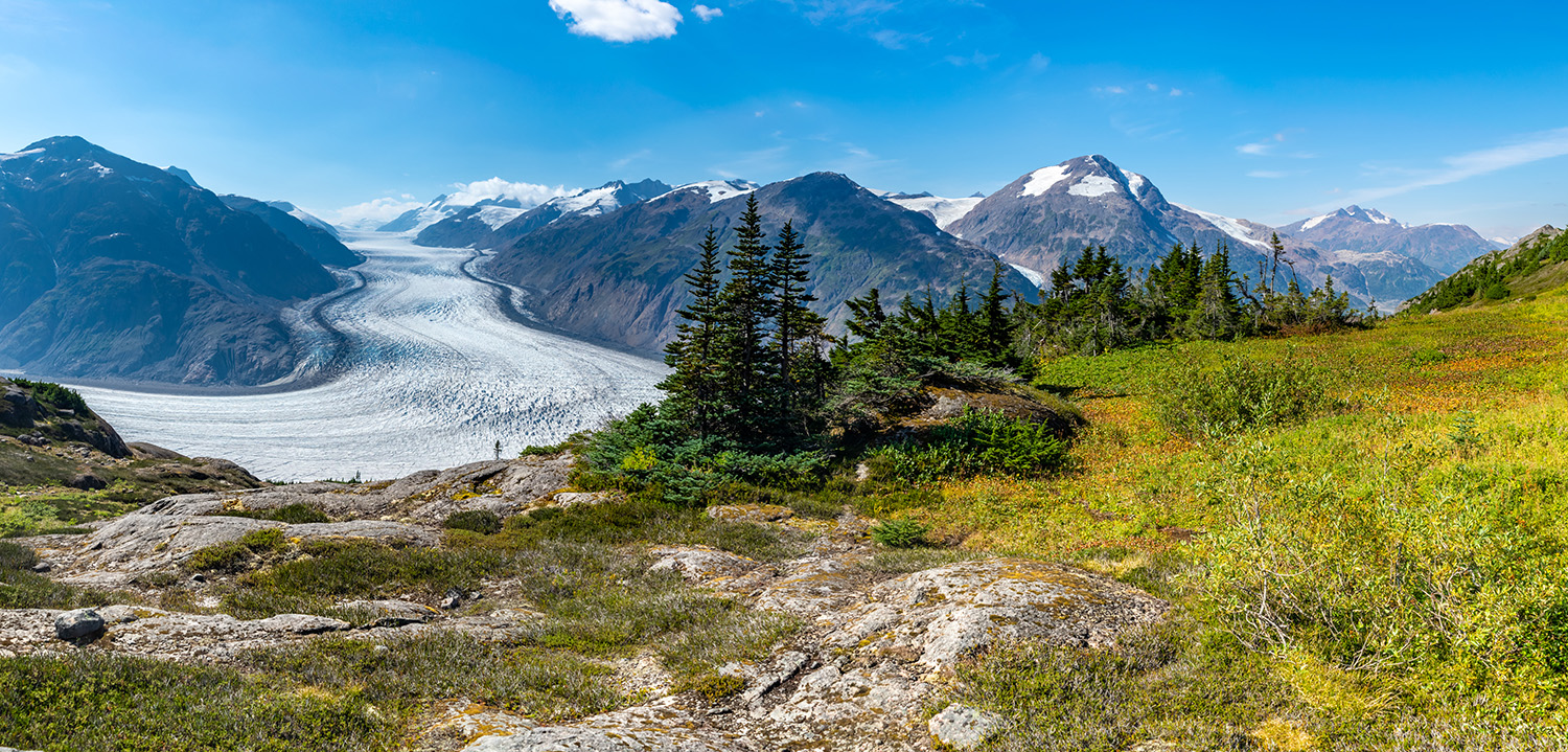 green meadow in foreground and huge glacier in the background.