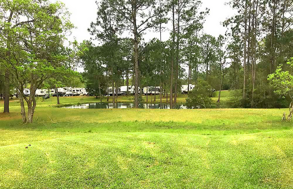 Green grassy slope in RV park