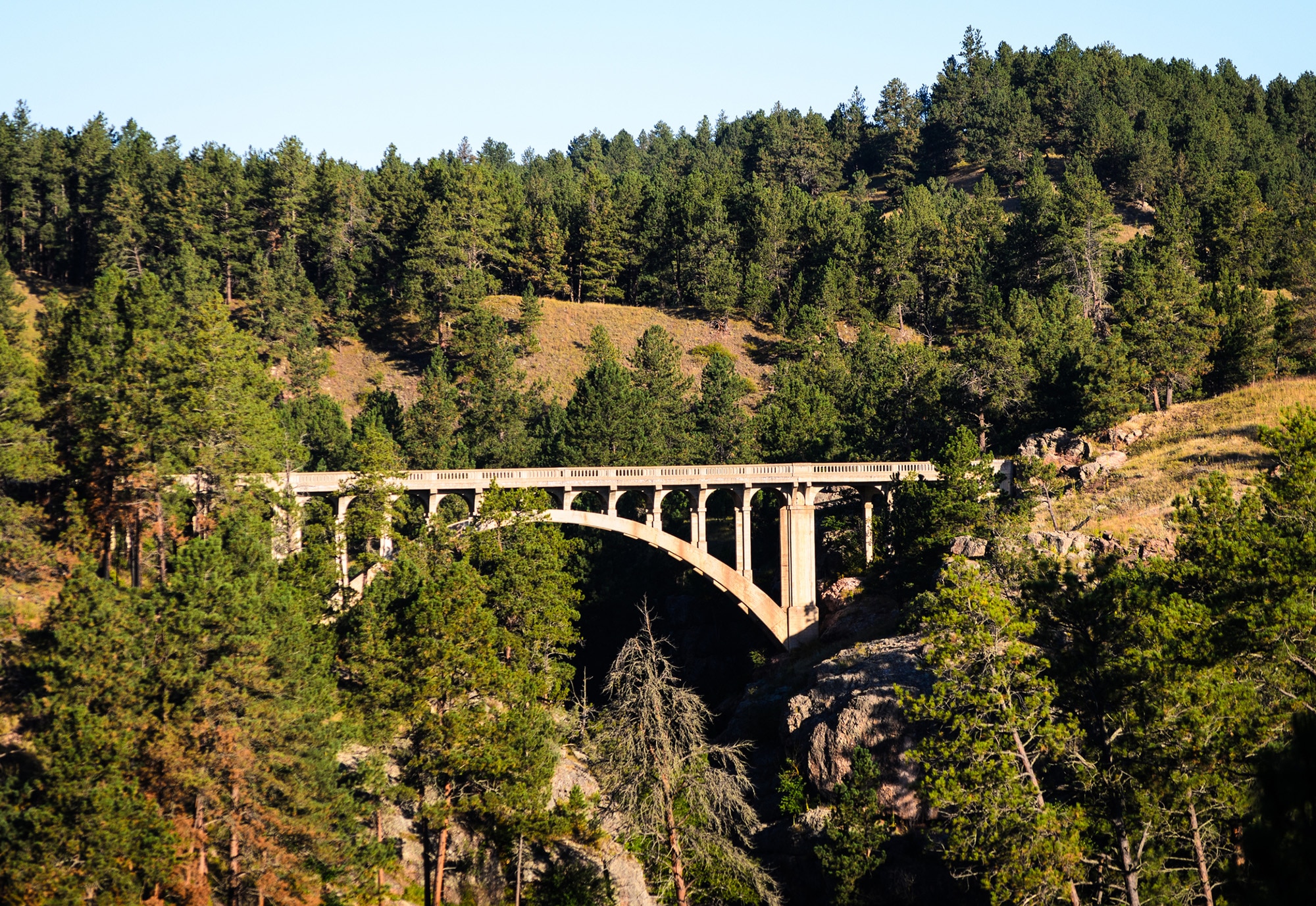 Bridge over river chasm in rugged forest environment.