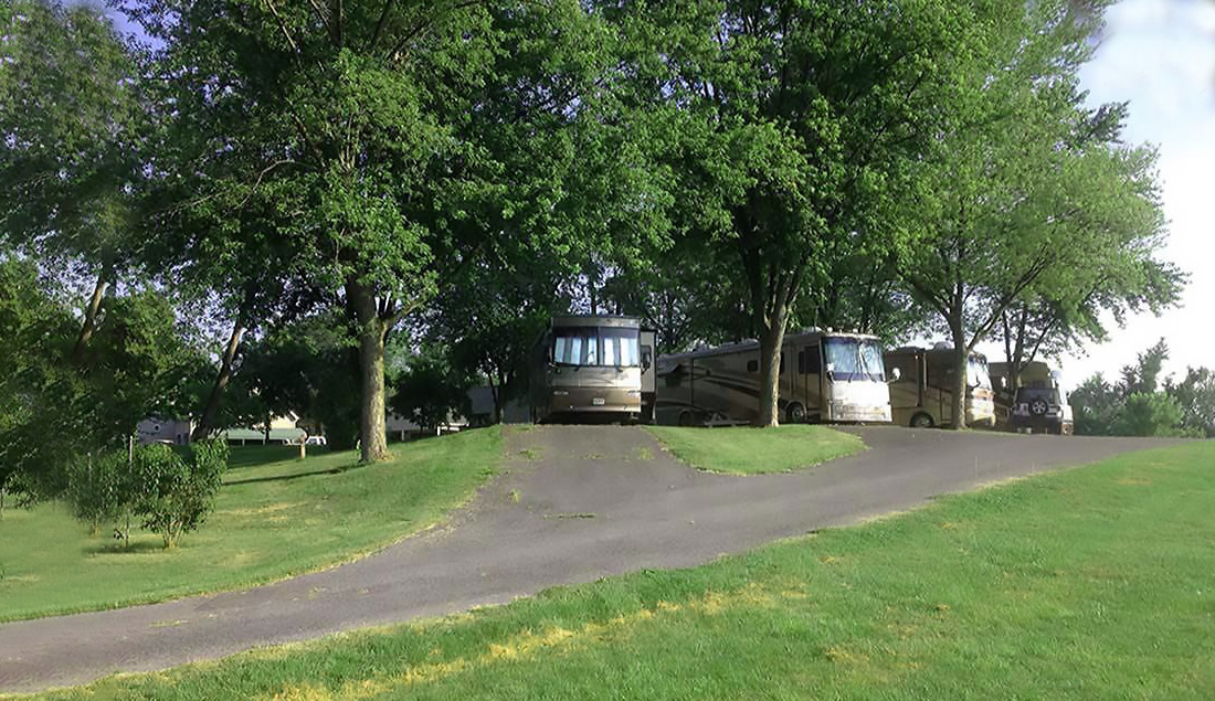 RVs in shady sits under tall trees.