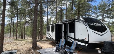 Trailer parked under tall pine trees.
