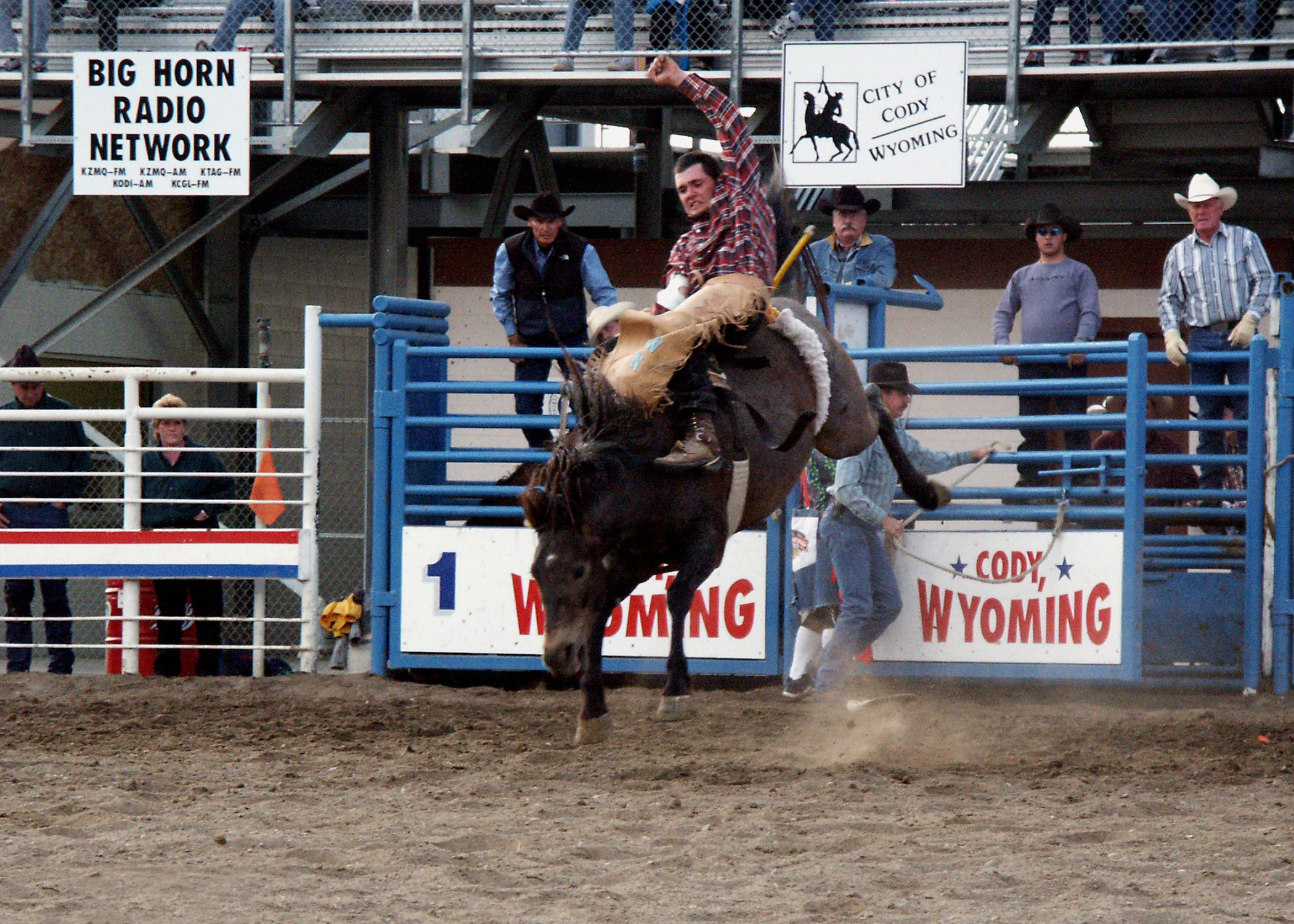A rodeo rider holds on for dear life on the saddle of a bucking bronco.