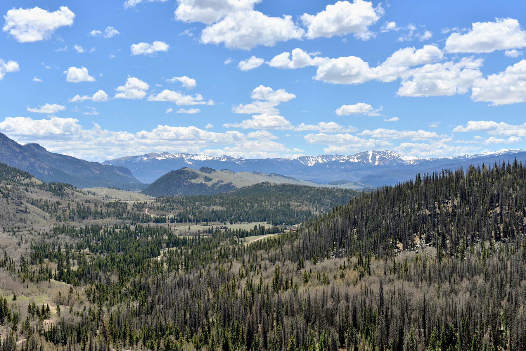 view of a forested valley with snowcapped peaks in the distance.