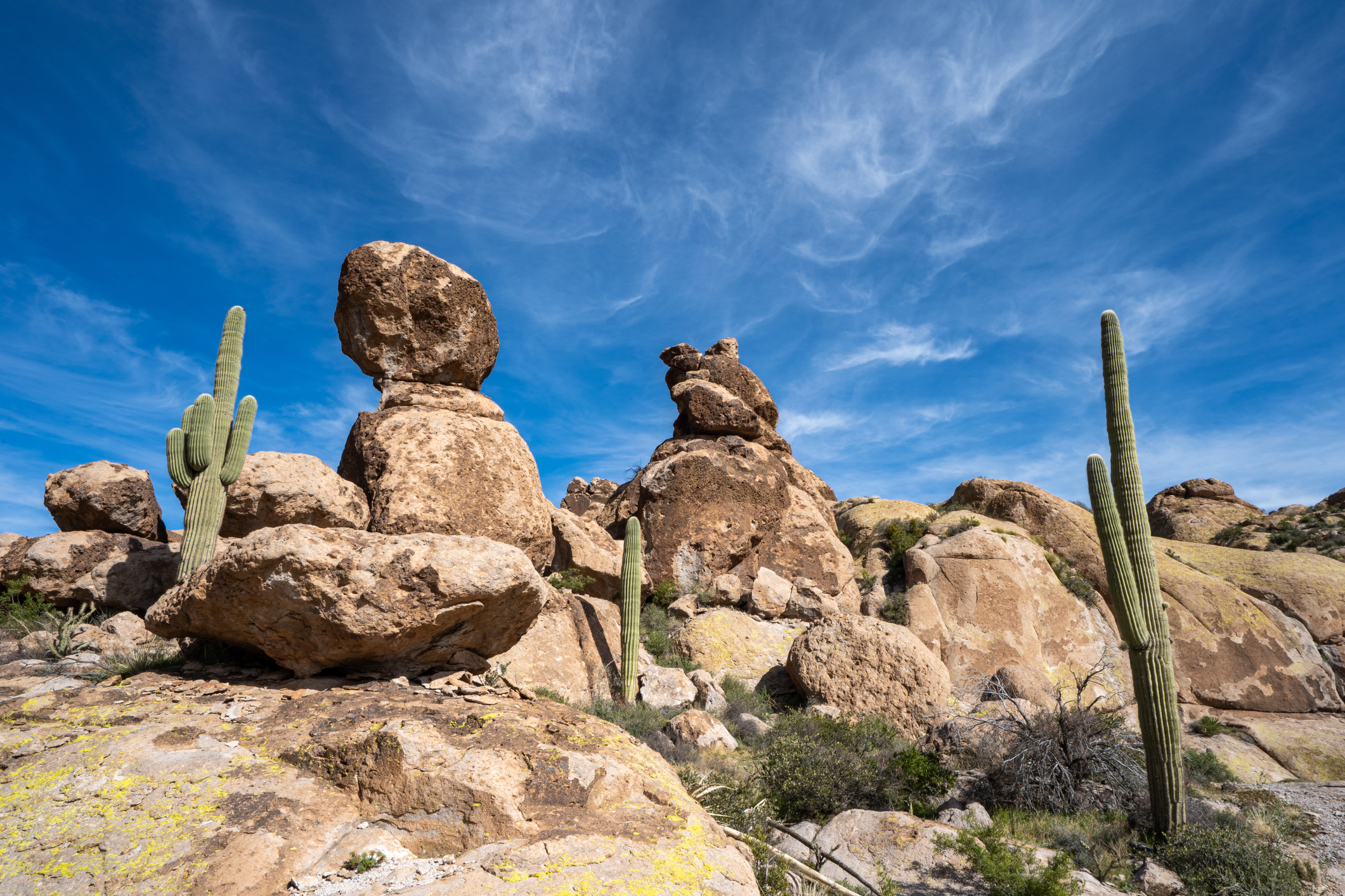 Saguaro cactus and a rock formation looking like a frog stand under blue sky and wispy clouds.