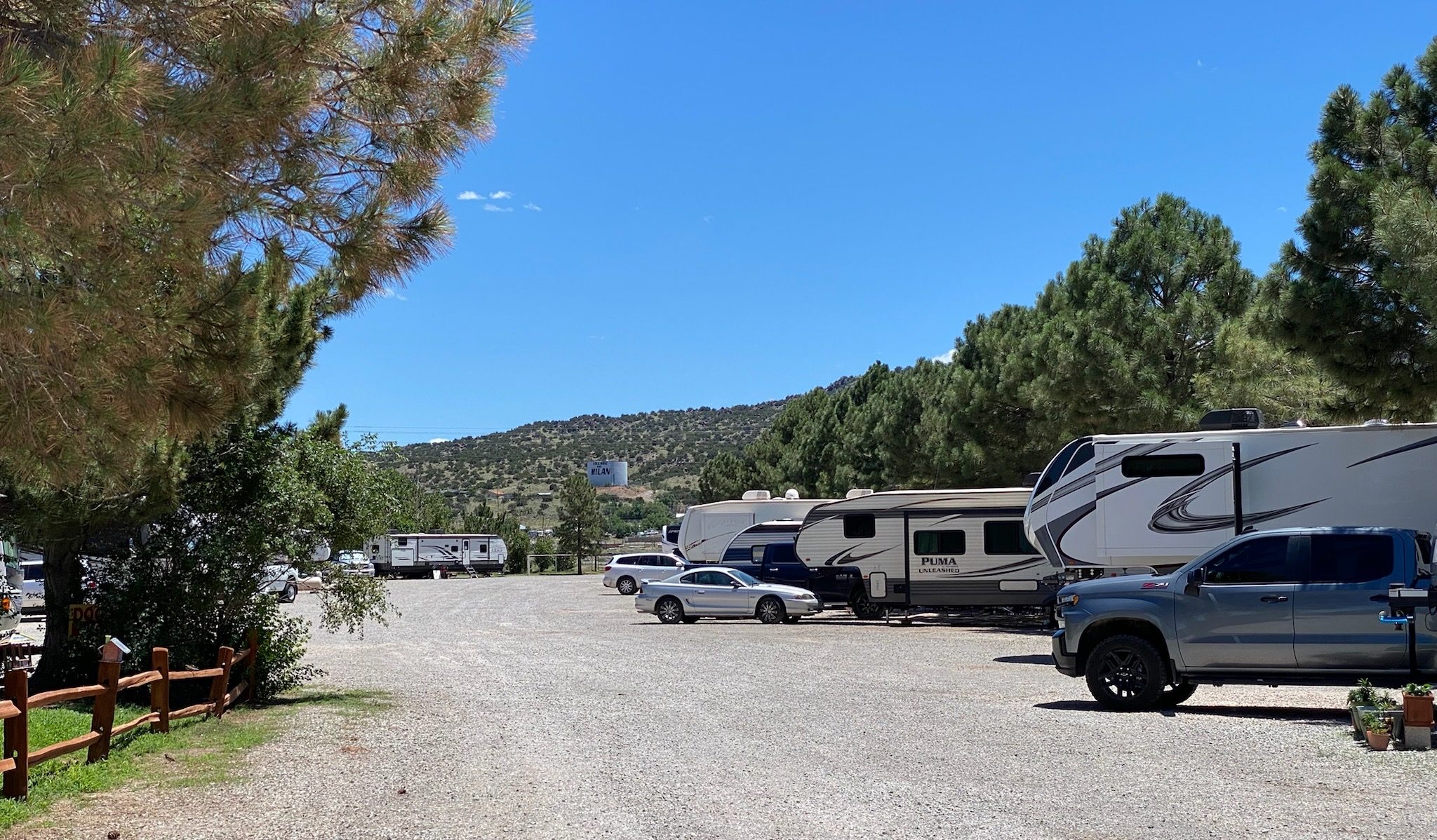 RVs parked a long a dirt/gravel road with fir trees in the background.