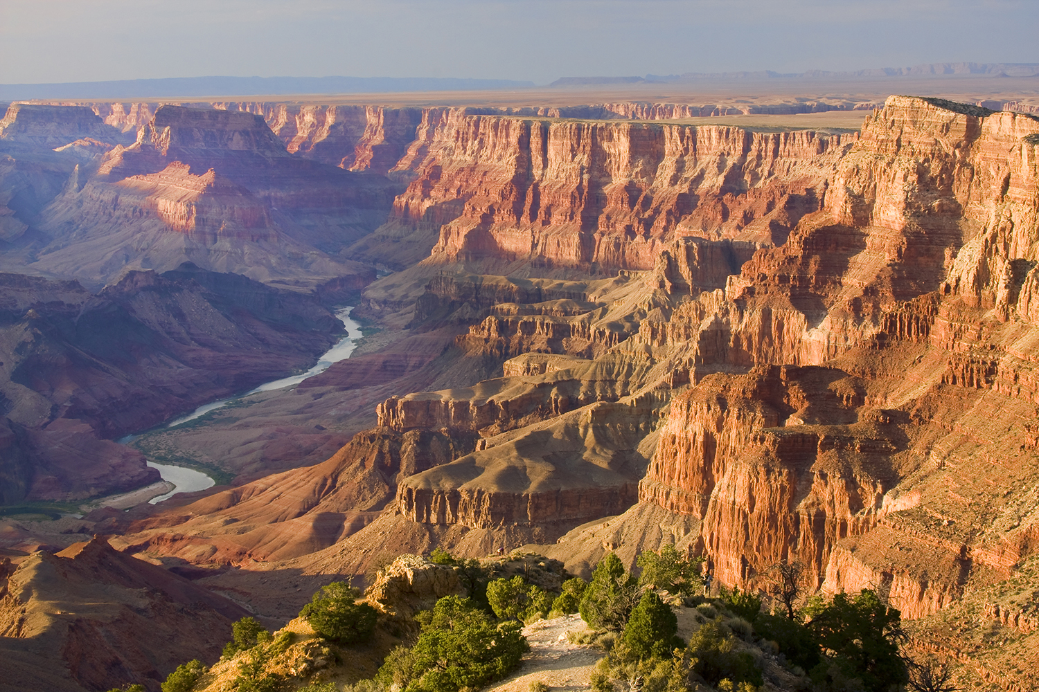 Grand Canyon bathed in golden sunlight.