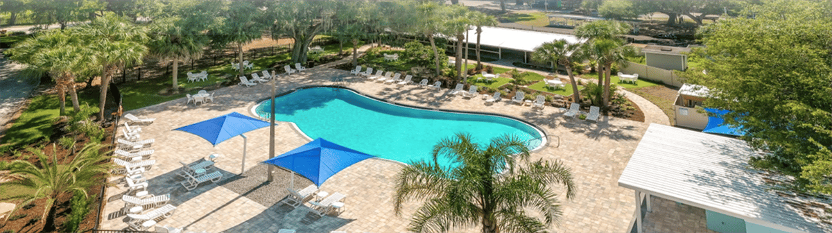 Overhead shot of a liver-shaped pool surrounded by white beach chairs and palm trees.