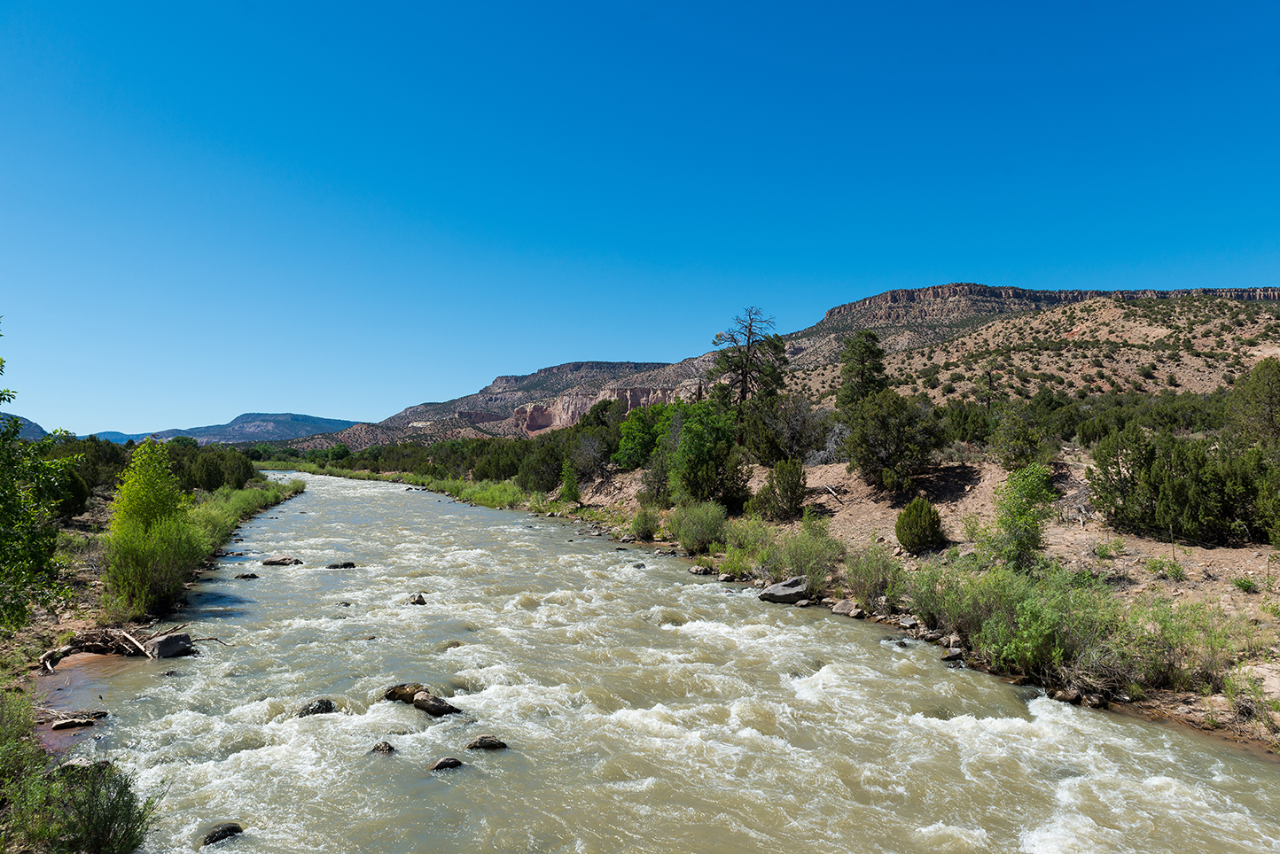 Whitewater rapids churn in a mountain environment. 