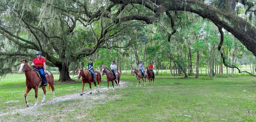 Horseback riders walk under oak trees draped with Spanish moss.
