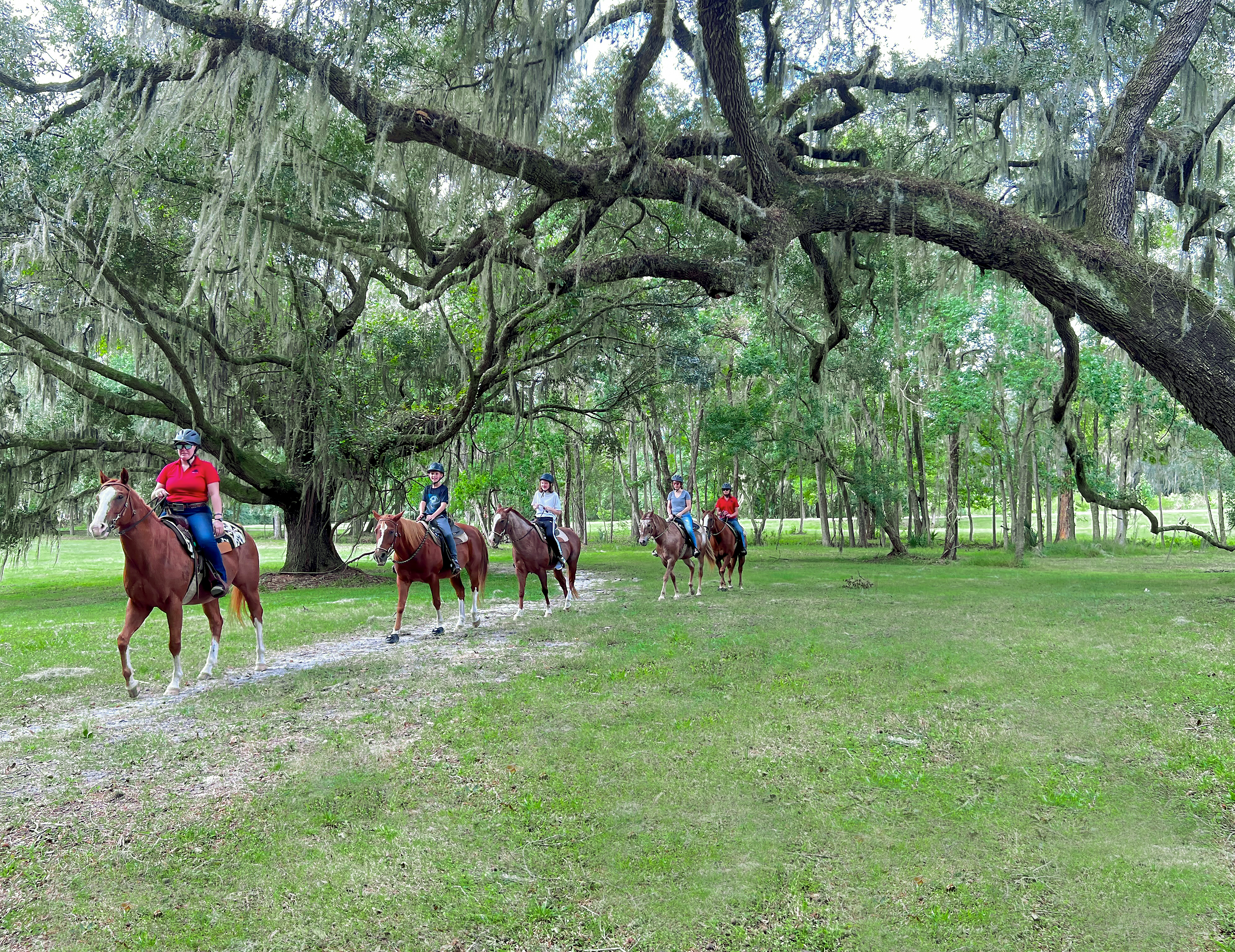 Horseback riders walk under oak trees draped with Spanish moss.