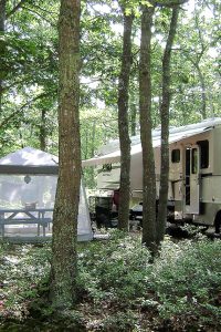 RVs parkedin a wooded environment