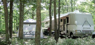 RVs parkedin a wooded environment