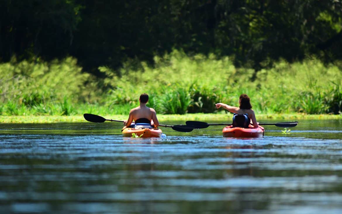 A couple separate kayaks exploring a waterway.