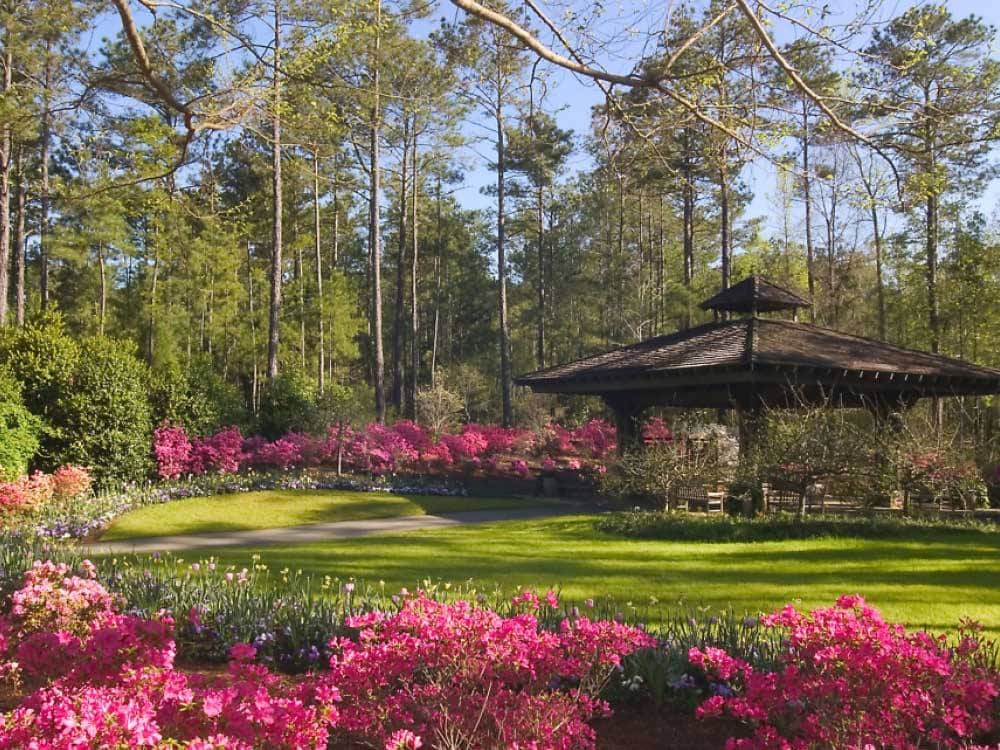 A gazebo amidst a manicured lawn surrounded by red blooms.