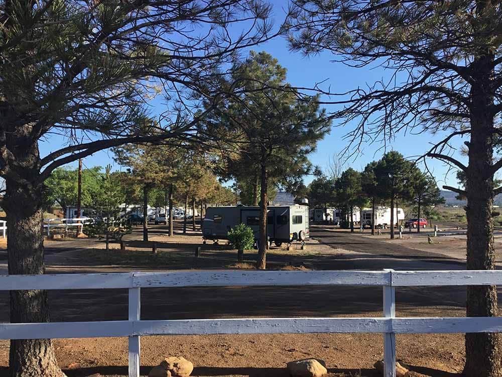 RVs on level campground under shade trees.