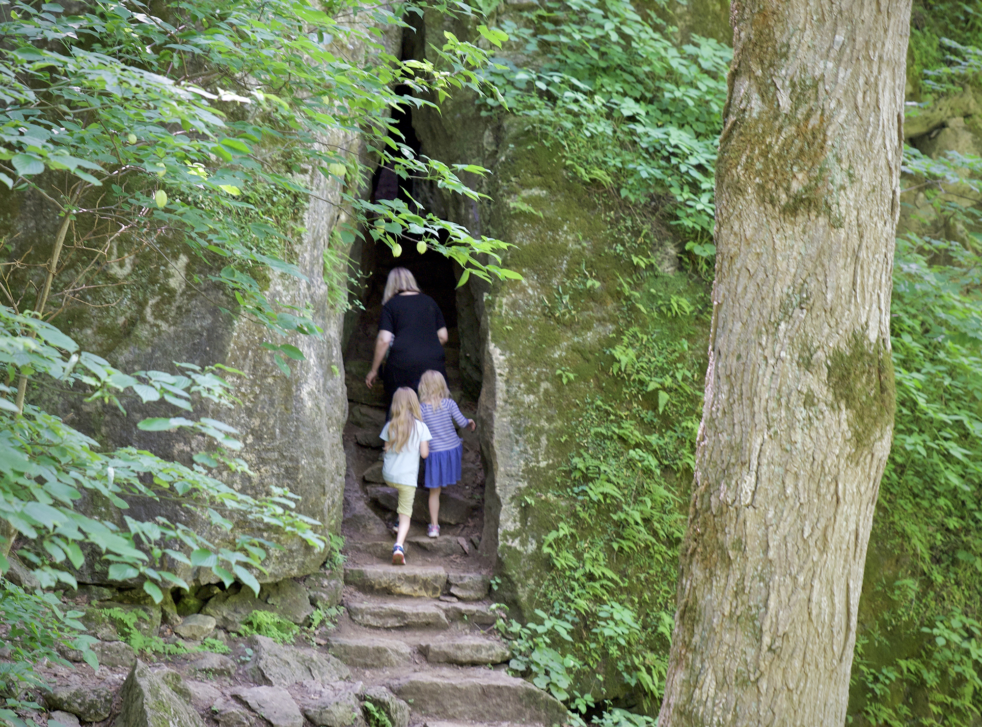 Two kids and an adult entering a cave.