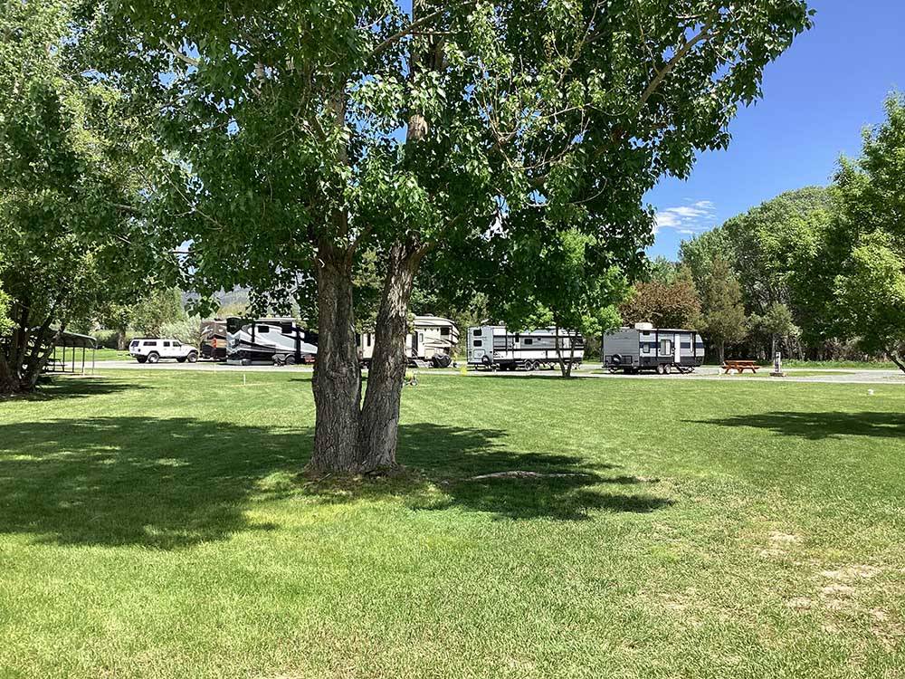 RV spaces adjacent to sprawling lawn.