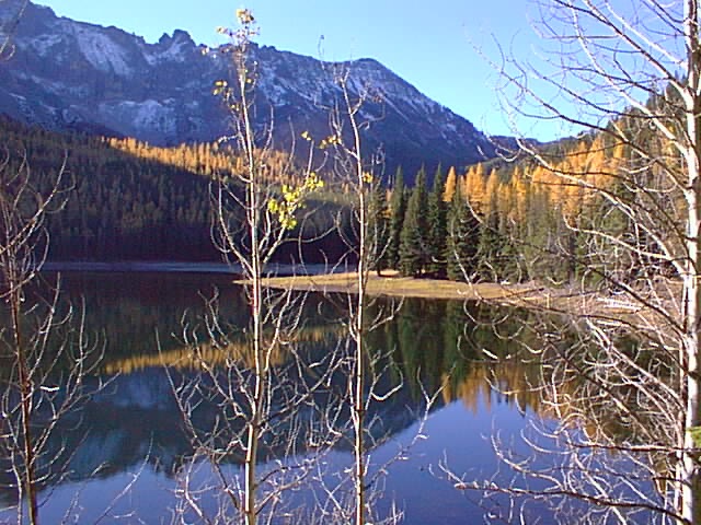 Malheur National Forest