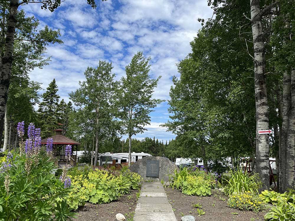 Path leading to RV park under tall, lush trees.