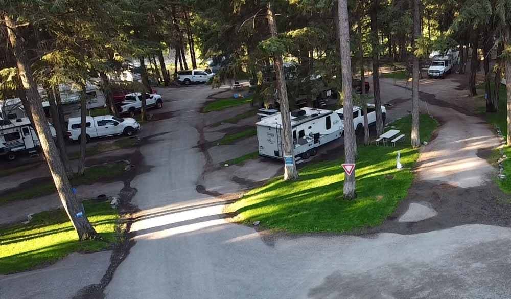 Aerial shot of RV campground amid tall trees.
