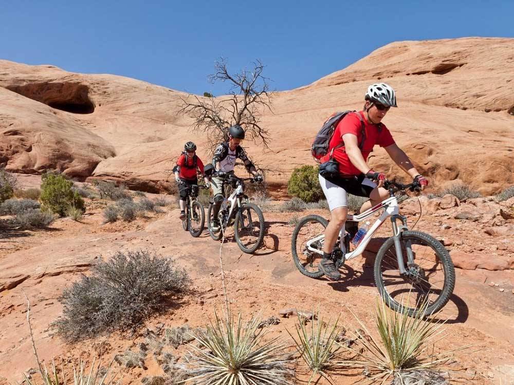 Three kids ride mountain bikes down a rocky trail.