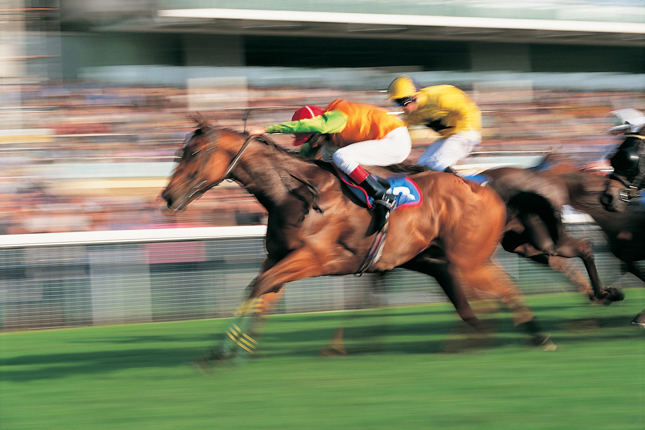 Horses racing in a blur