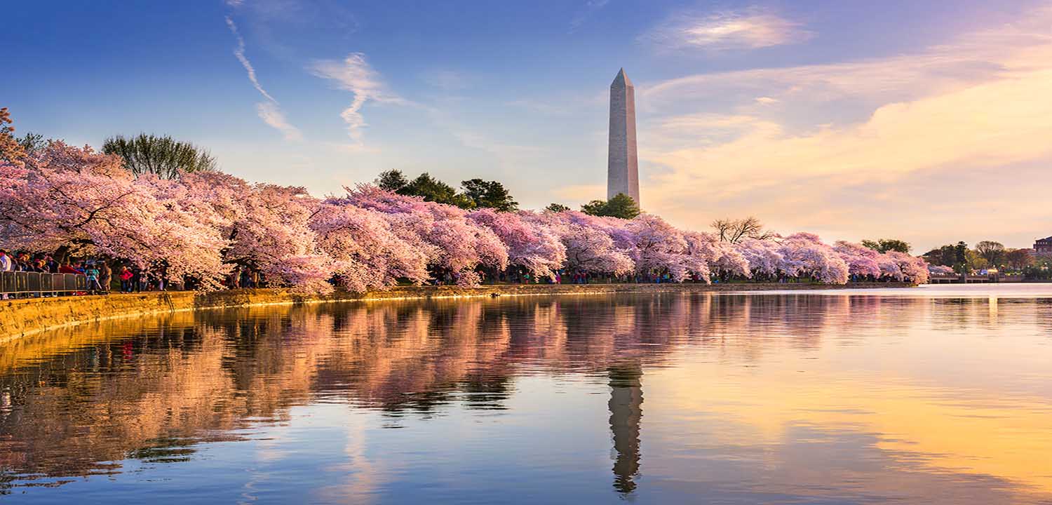 Blossoms fringe a magnificent basin.