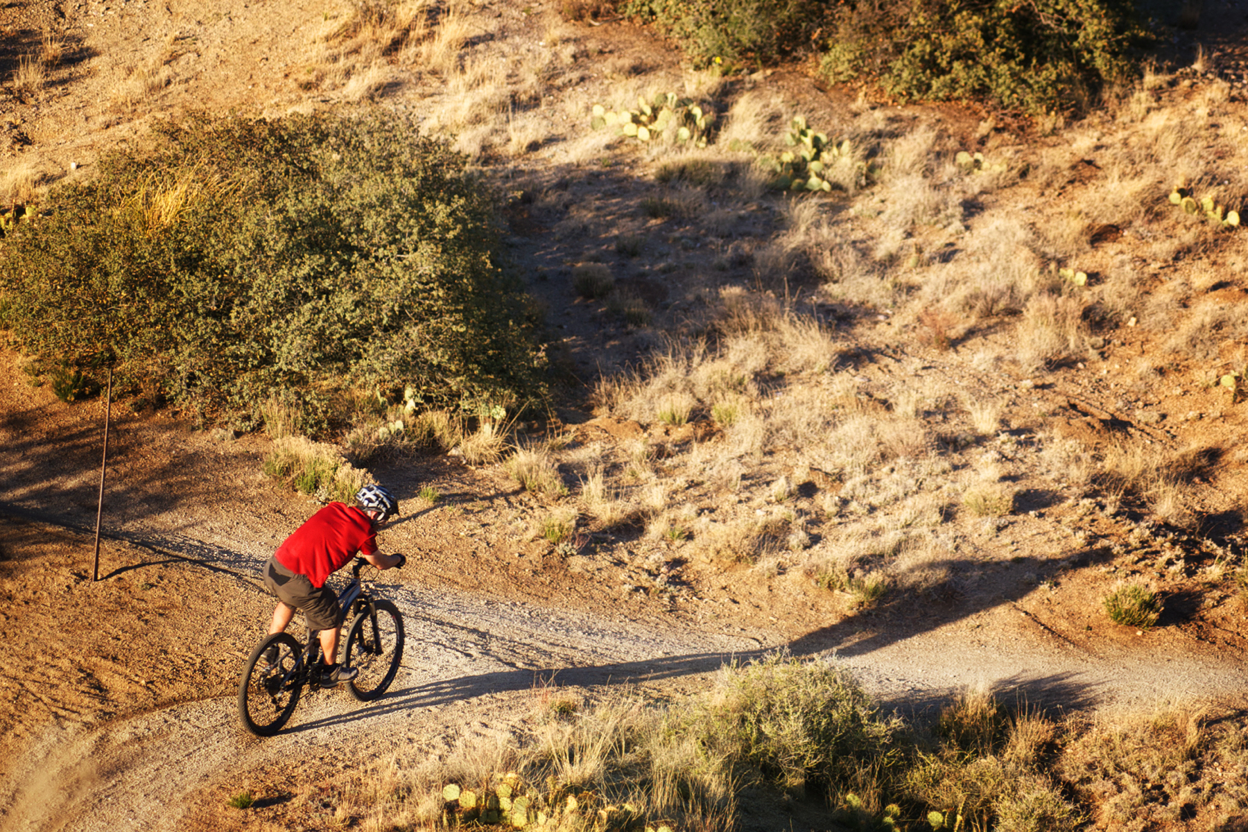 A biker on a desert trail.