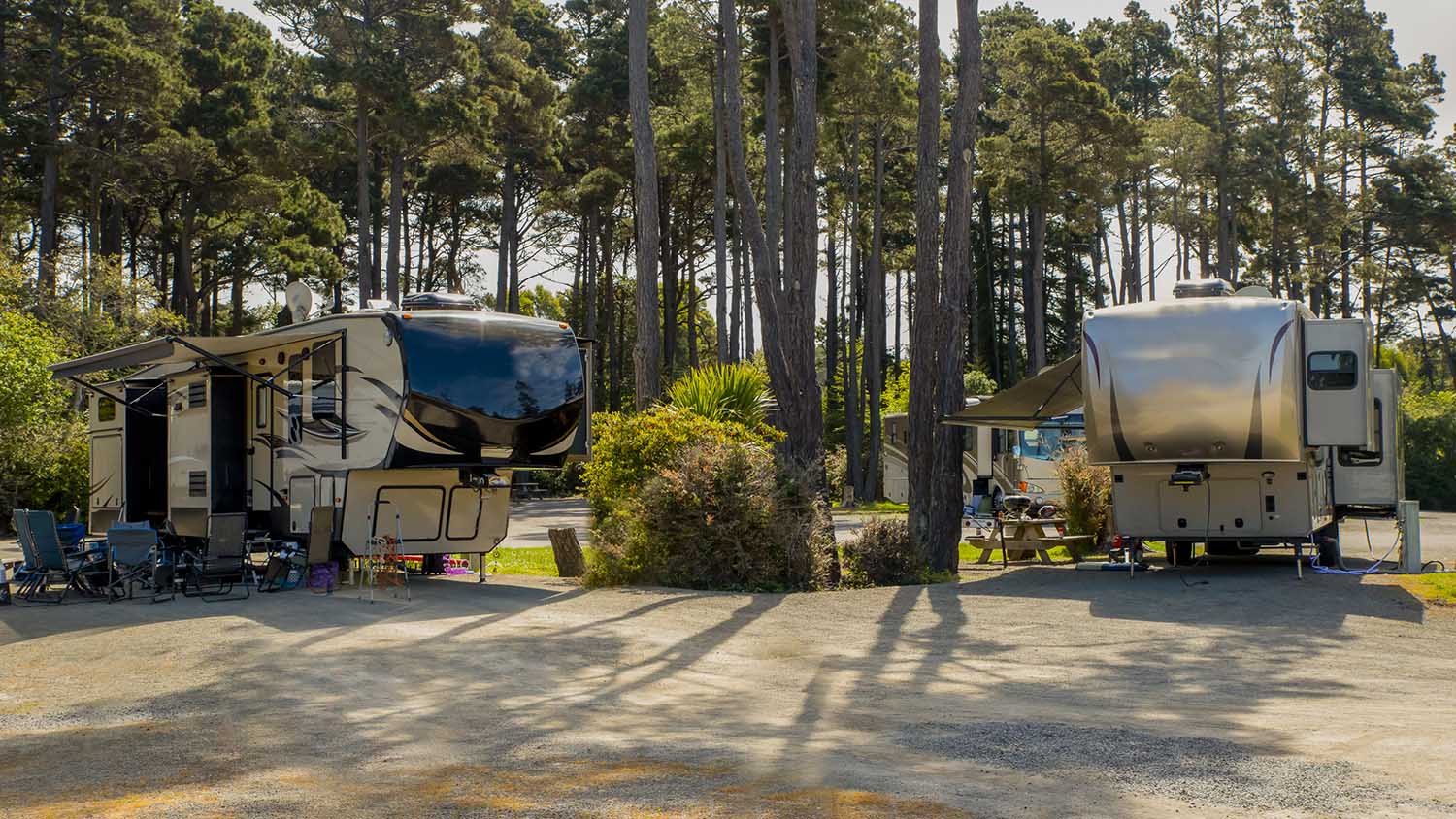 A pair of fifth-wheels in a wooded RV campground.