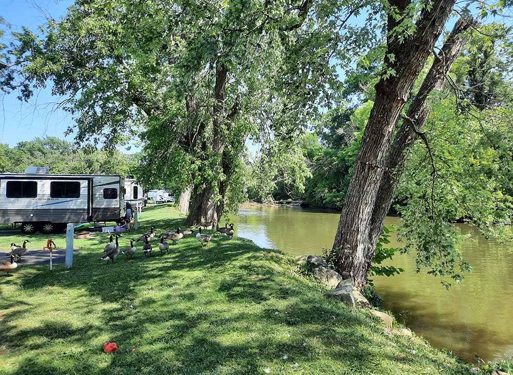 Your Guide to Campgrounds in Kentucky - LATEST NEWS STORIES