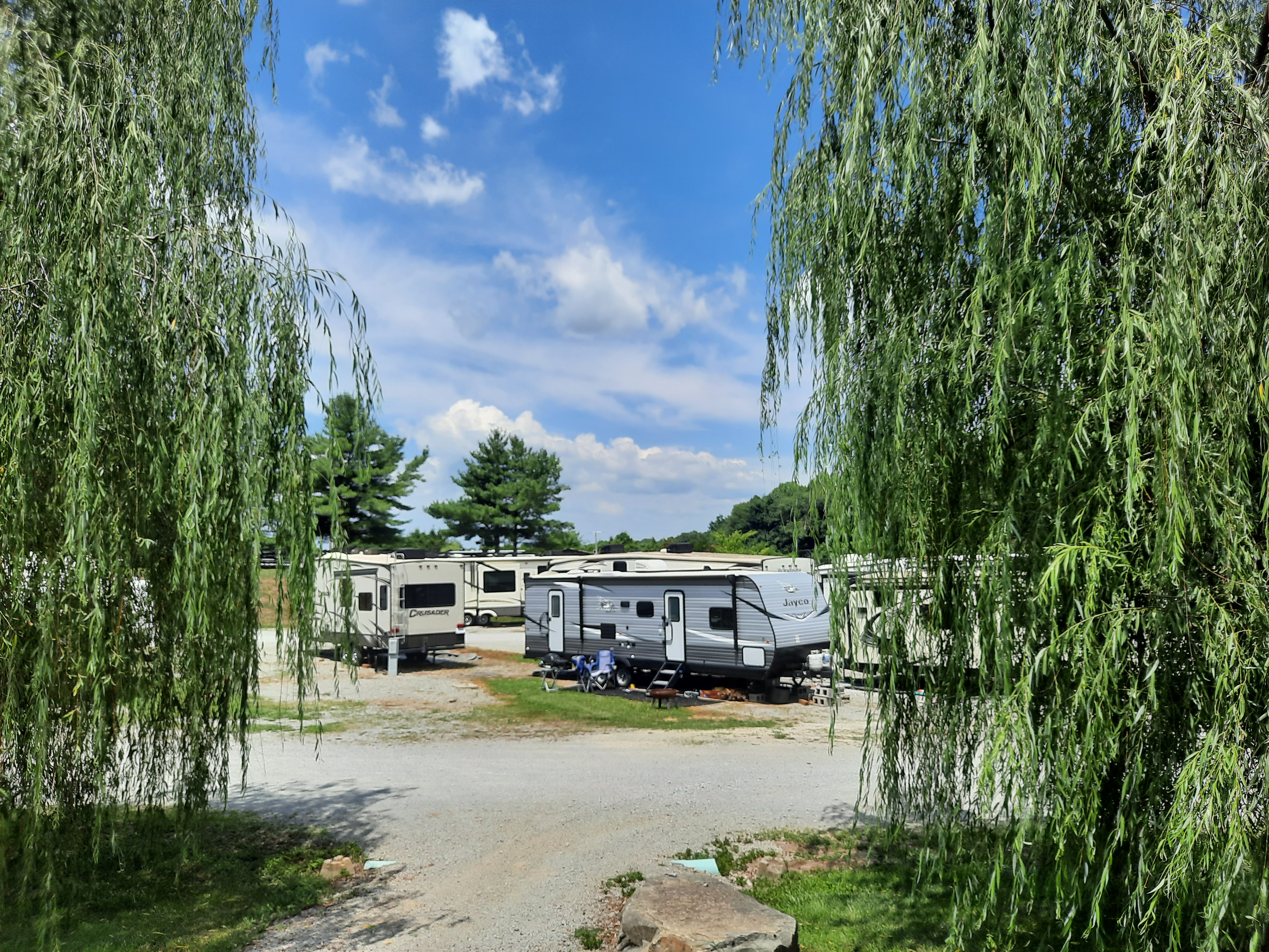 View of RV park flanked by wheeping willows.