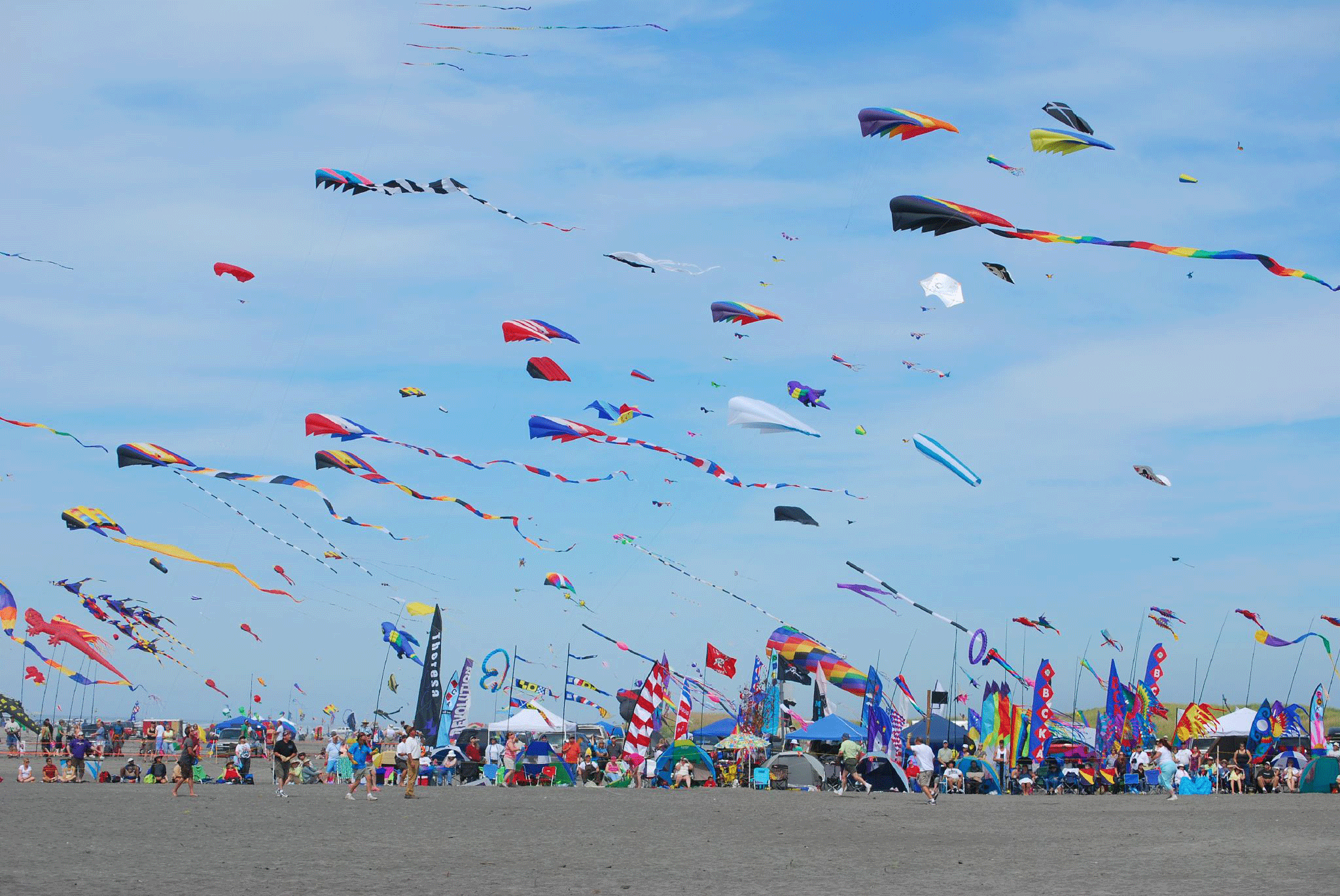 Kites fly high in the air with long tails.