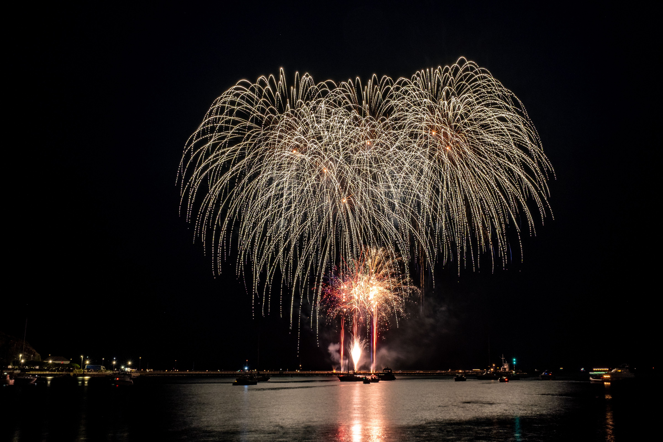 Fireworks bloom over the water against a black sky.