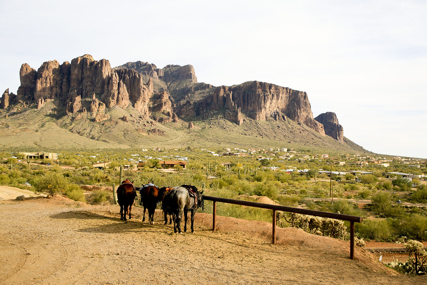 Horses tied to a post near rock formation.